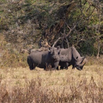 P1199600-topaz-sharpen (1)