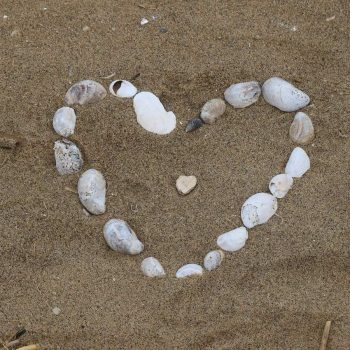 ann-EYRmJwe9ohM-unsplash (1)