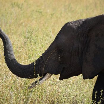 britt-weckx-lyqC2D5mB3Q-unsplash (1)