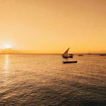 humphrey-m-e5hzQubIb68-unsplash (1)