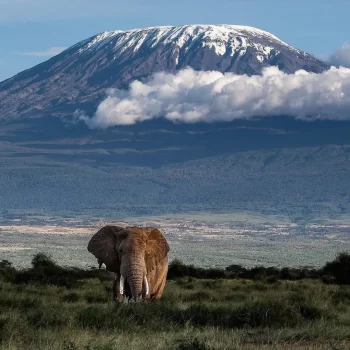 Mt Kili