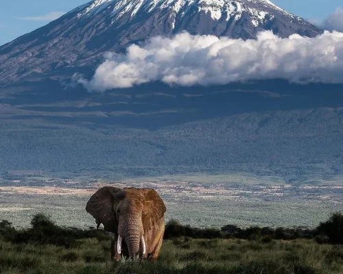 Mt Kili