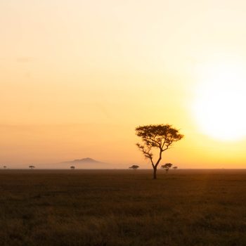 jpeg-optimizer_P1198805