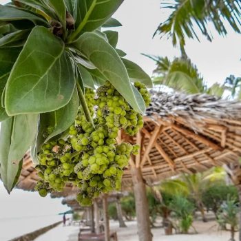 lidia-stawinska-nXaLvduryf4-unsplash (1)