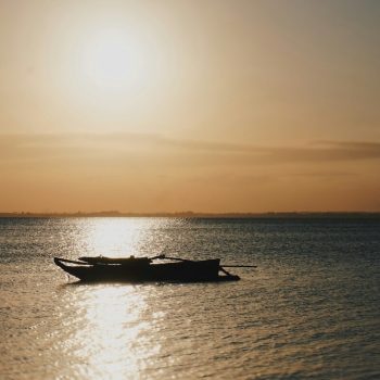 morgan-nott-GZsoefIkUUA-unsplash (1)