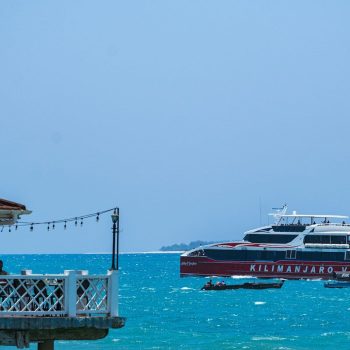 nichika-sakurai-1vfWZbFikK8-unsplash (1)