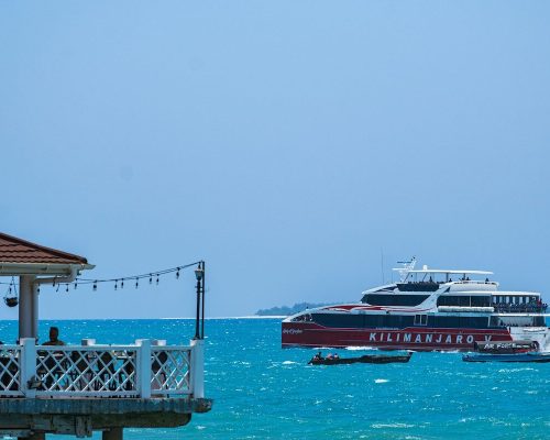 nichika-sakurai-1vfWZbFikK8-unsplash (1)