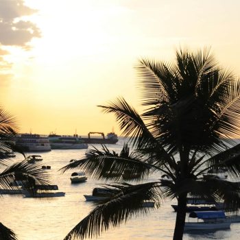 polly-sadler-3r78BdmYp6c-unsplash (1)