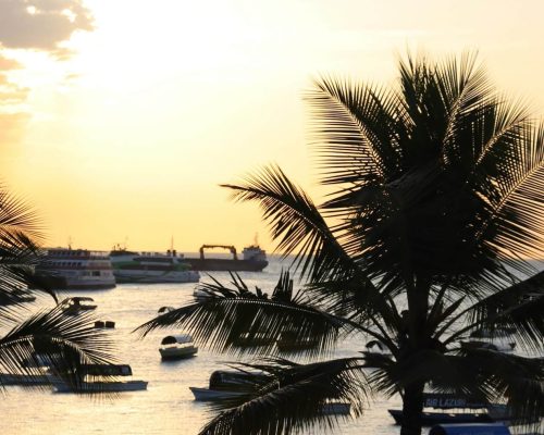 polly-sadler-3r78BdmYp6c-unsplash (1)